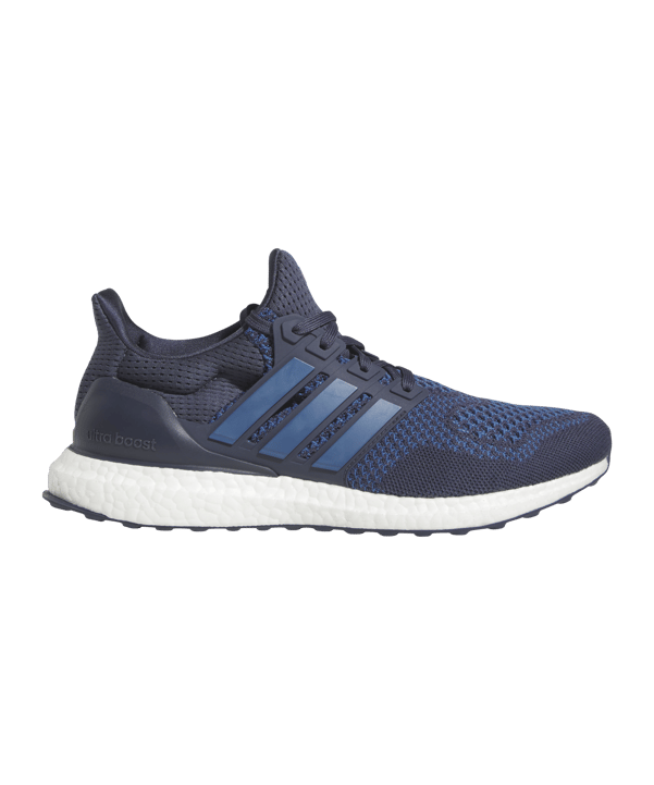 adidas Ultraboost 1.0 Blau Blau Laufschuh - blau