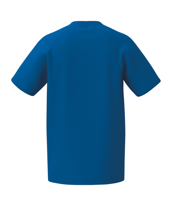 Erima CMPT  Wings T-Shirt Blau - blau