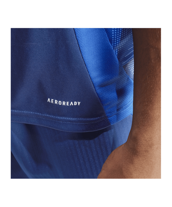 adidas Tiro 24 Competition Match Trikot Blau - blau