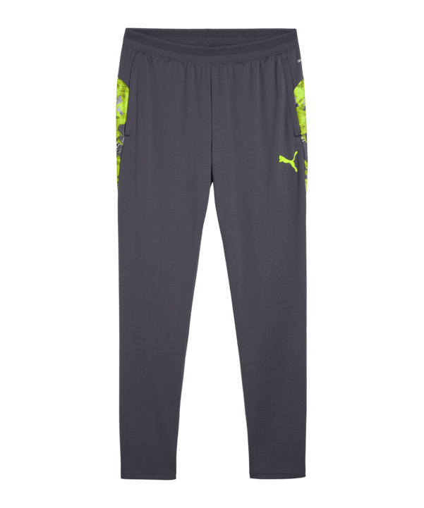 PUMA individualCUP Trainingshose Grau F08 - grau