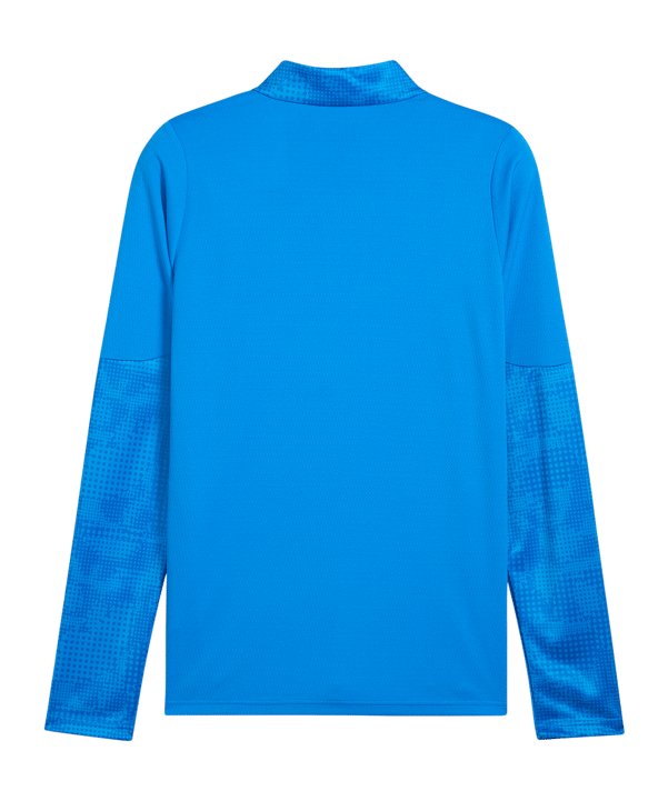 PUMA teamCUP Training 1/4 Zip Sweatshirt Blau F02 - blau
