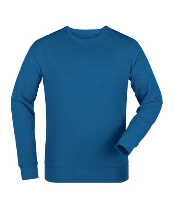 Merch Roller Sweatshirt Royal Blue FC230 - blau