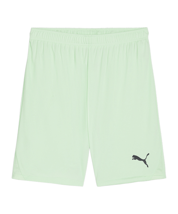 PUMA teamGOAL Short Grün Schwarz F60 - gruen