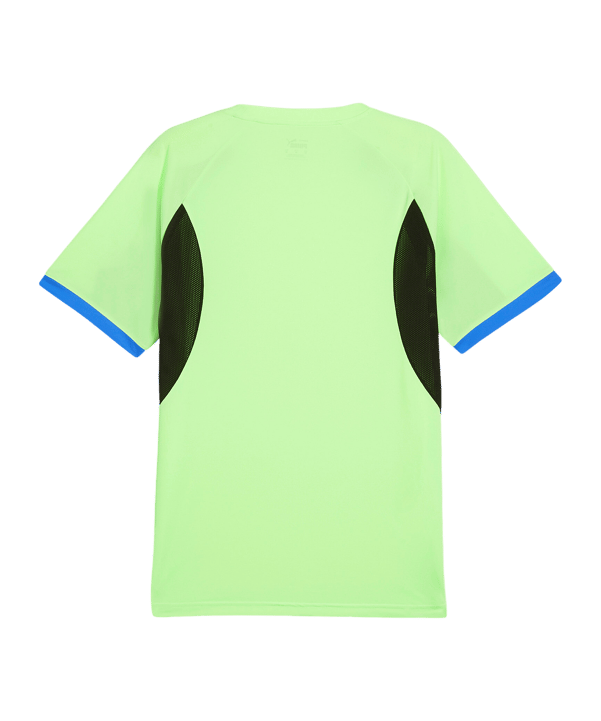 PUMA IndividualLiga Trikot Grün F02 - gruen