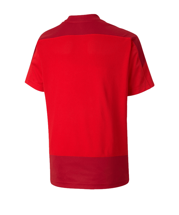PUMA teamGOAL 23 Training Trikot Kids Rot F01 - rot