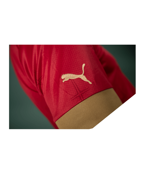 PUMA Serbien Trikot Home WM 2022 Rot F01 - rot