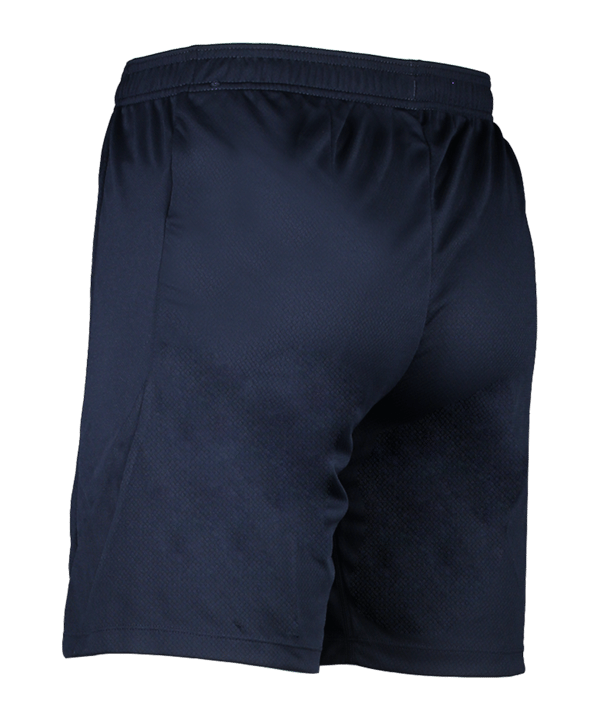 Nike Strike 24 Short Blau Weiss F451 - blau