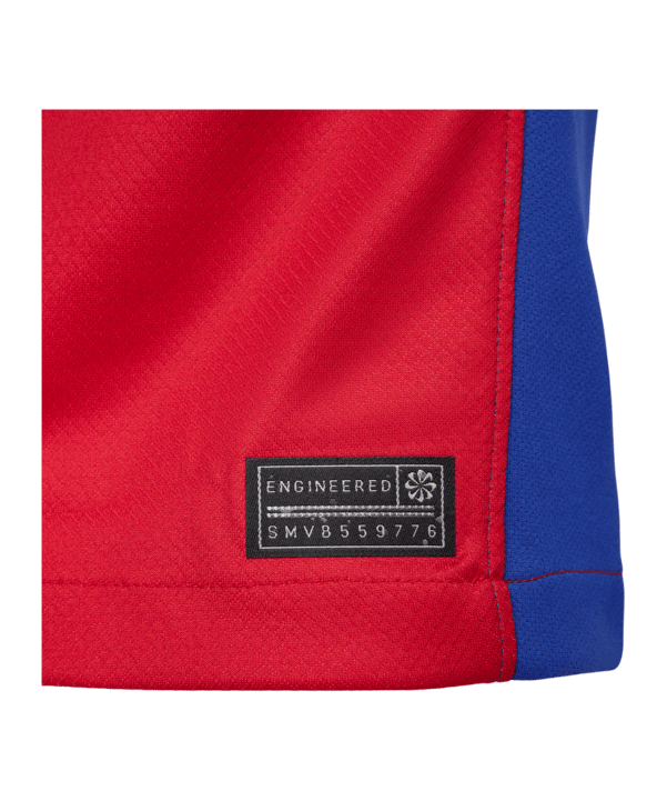 Nike USA Trikot Away 2024 Blau F417 - blau