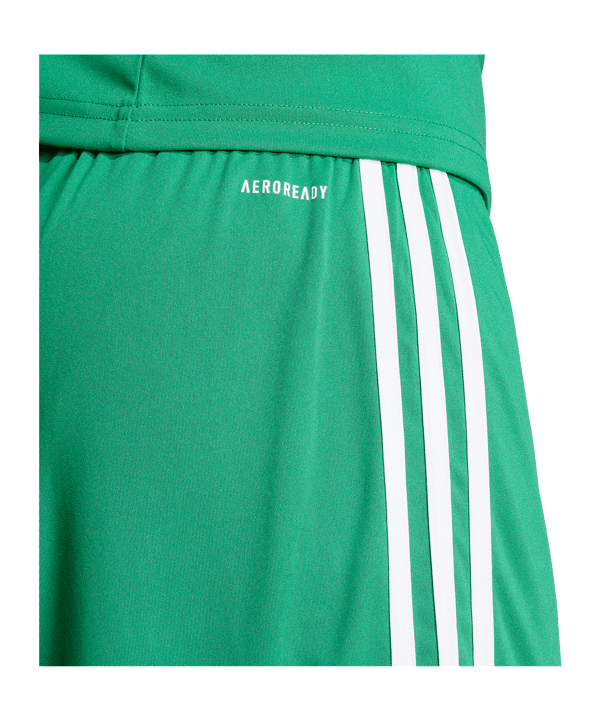 adidas Squadra 25 Short Grün - gruen