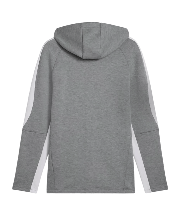 PUMA teamEVOSTRIPE Kapuzenjacke Grau F33 - grau