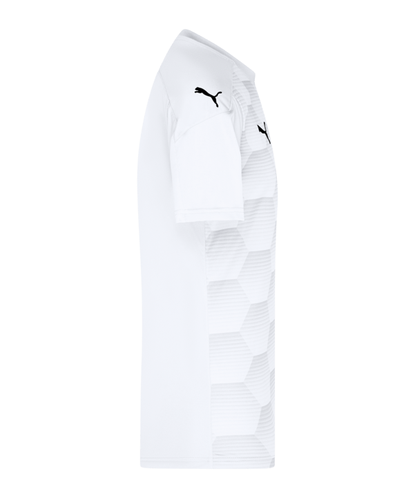 PUMA teamFINAL 21 Graphic Trikot kurzarm Weiss F04 - weiss