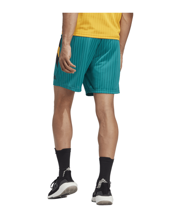 adidas FC Bayern München Icon Short Grün - gruen