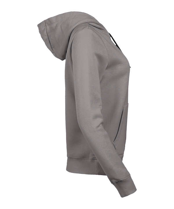 Nike Park 26 Hoody Damen Grau F063 - grau