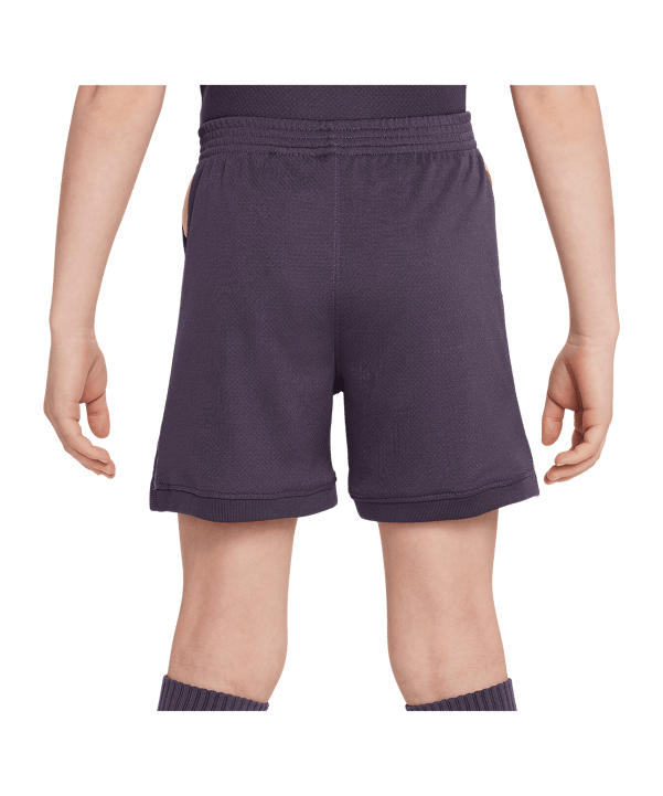 Nike England Minikit Away EM 2024 Lila F573 - lila