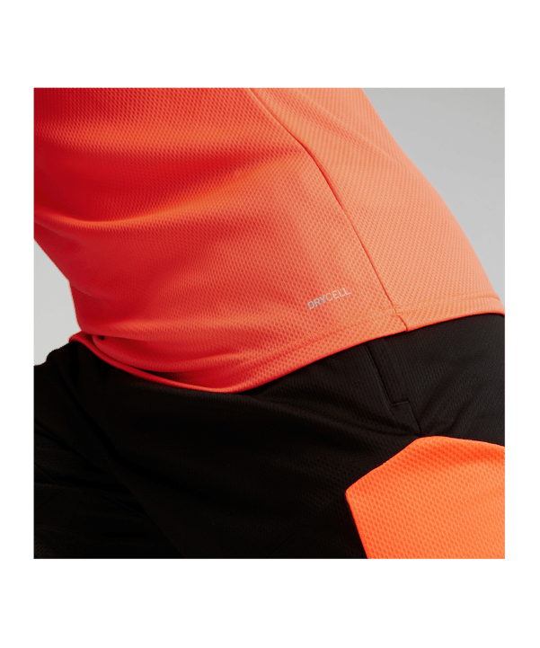 PUMA individualFINAL WC Trikot Blau F48 - blau