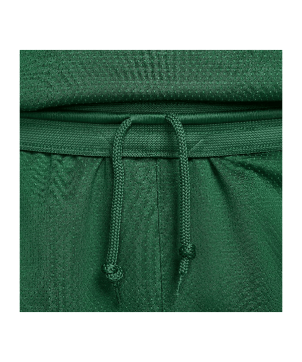 Nike Litauen Limited Road Short Olympia 2024 Grün F341 - gruen