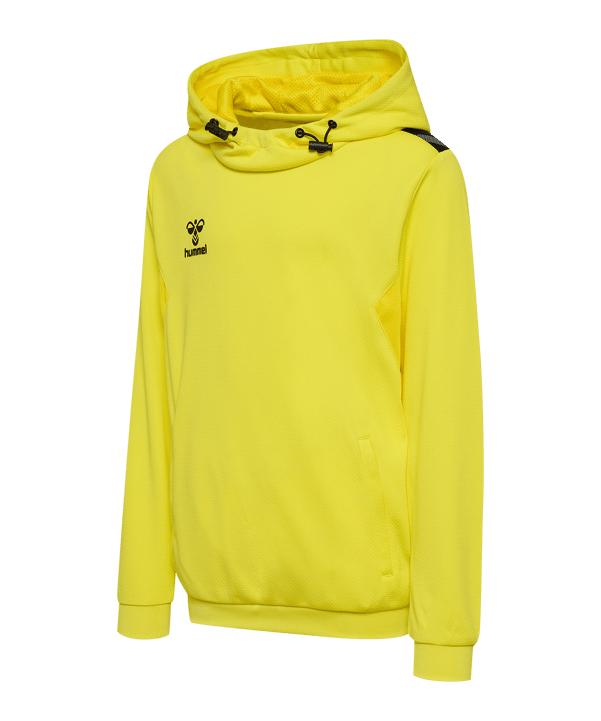 Hummel Authentic Pl Hoody Kids Gelb F5269 - gelb