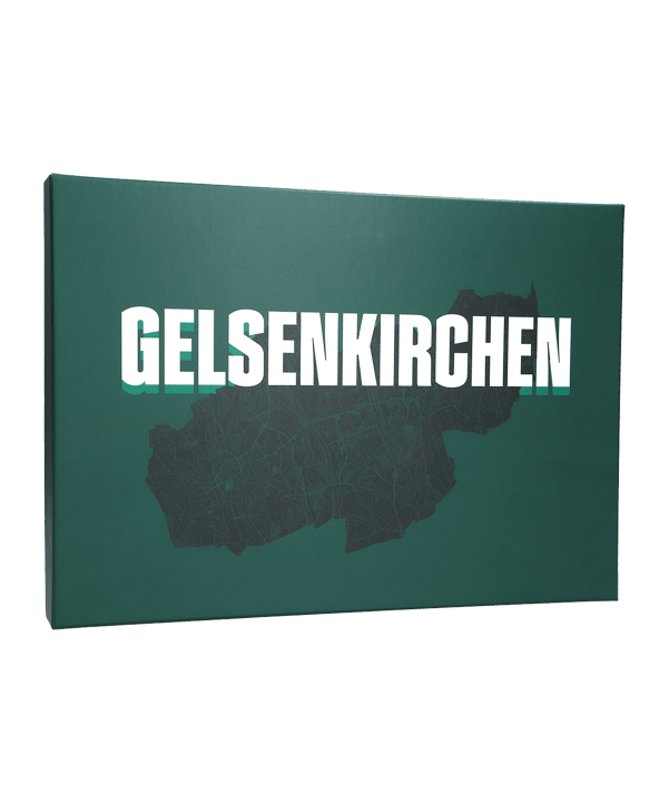 adidas FC Schalke 04 Sondertrikot Gelsenkirchen 2025/2026 Grün - gruen
