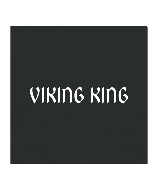 11teamsports Norwegen "VIKING KING" T-Shirt WM 2026 Schwarz - schwarz