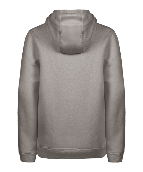 Nike Park 26 Hoody Kids Grau F063 - grau