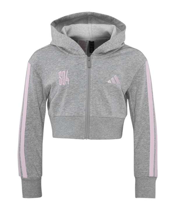adidas FC Schalke 04 Kapuzenjacke Kids Grau - grau