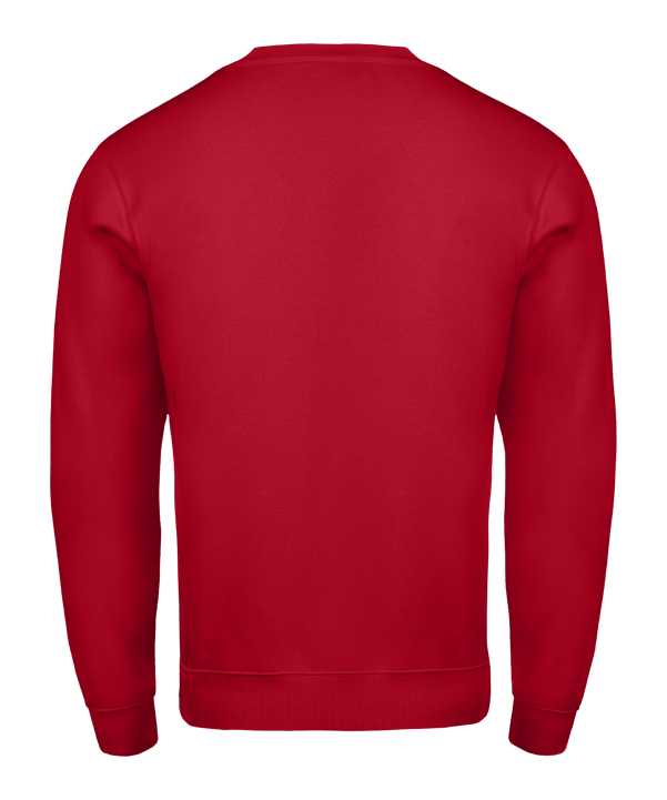 Nike Park 26 Sweatshirt Rot F657 - rot