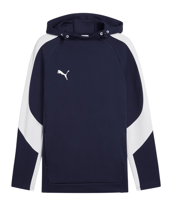 PUMA TeamEvostripe Hoody Blau F06 - blau