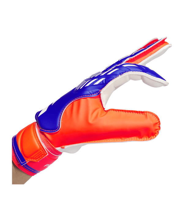 adidas Predator TRN Torwarthandschuhe Advancement Blau - blau