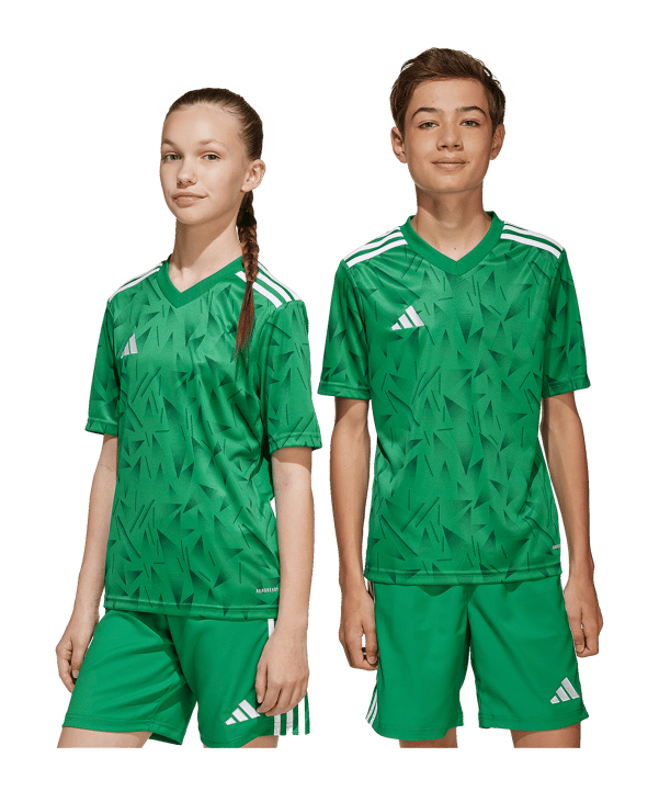 adidas Team Icon 25 Trikot Kids Grün - gruen