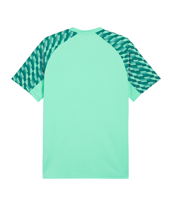 PUMA teamLIGA26 Trikot Grün F80 - gruen