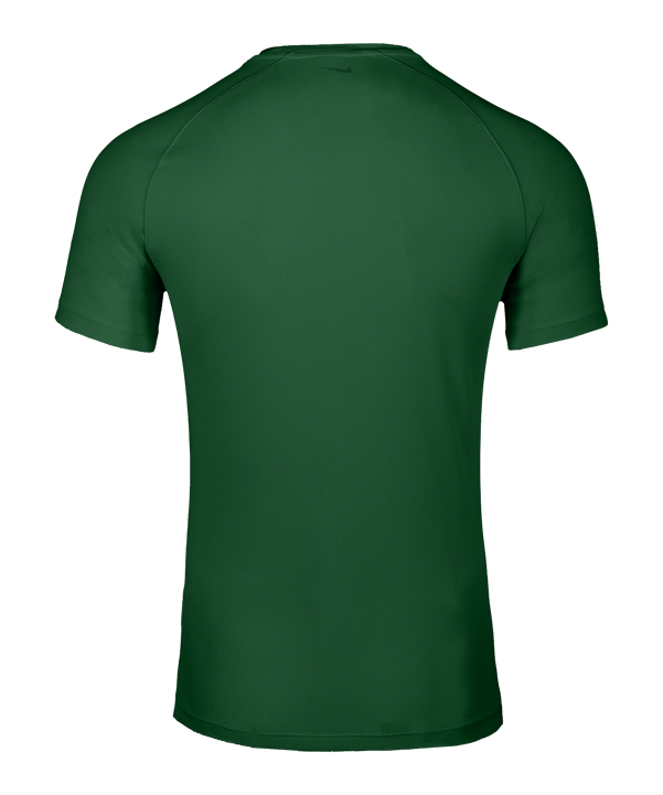 Nike Park VIII Trikot Grün F302 - gruen