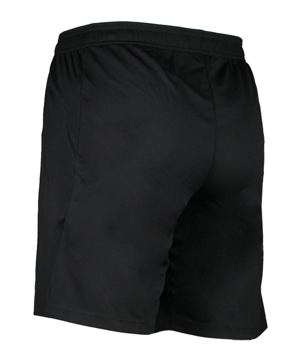 Nike Strike 24 Short Schwarz Weiss F010 - schwarz