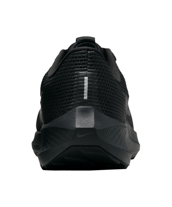 Nike Pegasus 40 Schwarz F002 Laufschuh - schwarz