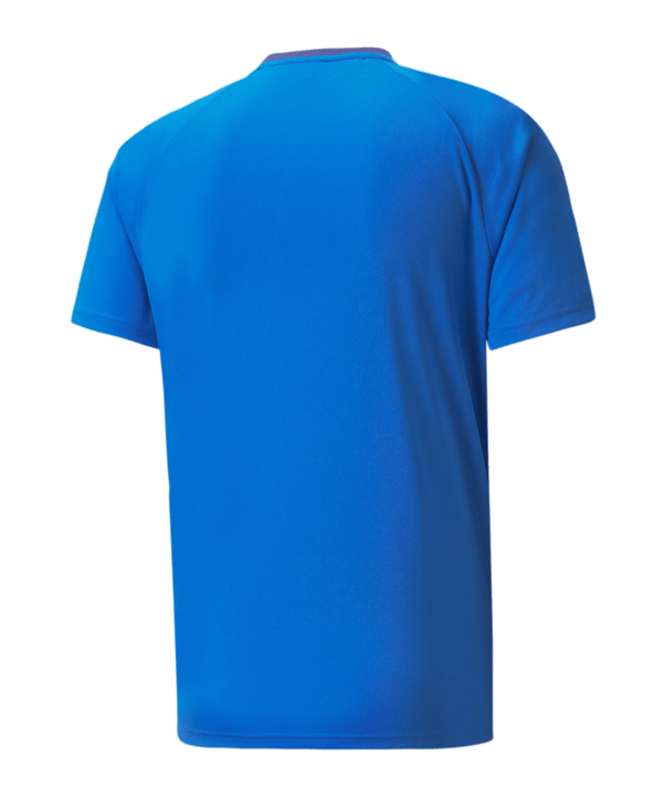 PUMA teamVISION Trikot Blau F02 - blau