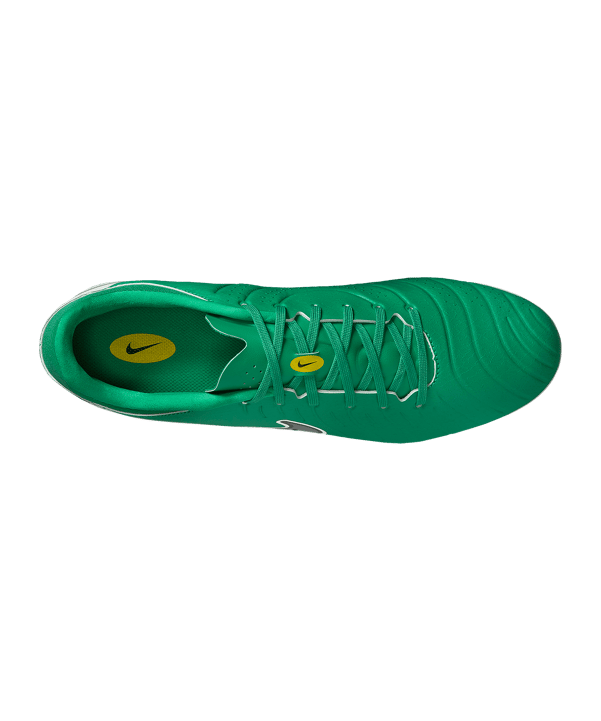 Nike Legend 10 Academy LV8 FG Fear Nothing Grün F300 - gruen