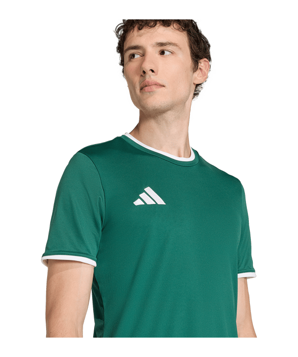 adidas Entrada 26 Trikot Grün - gruen