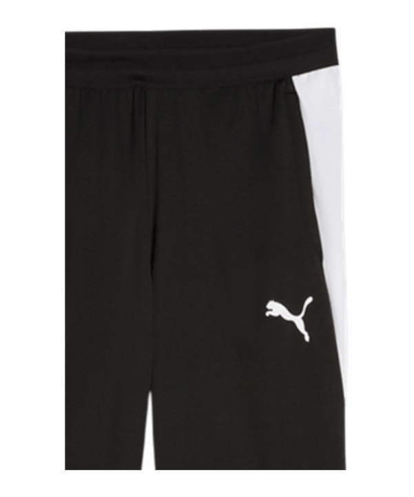 PUMA TeamFINAL 26 Trainingshose Schwarz F03 - schwarz