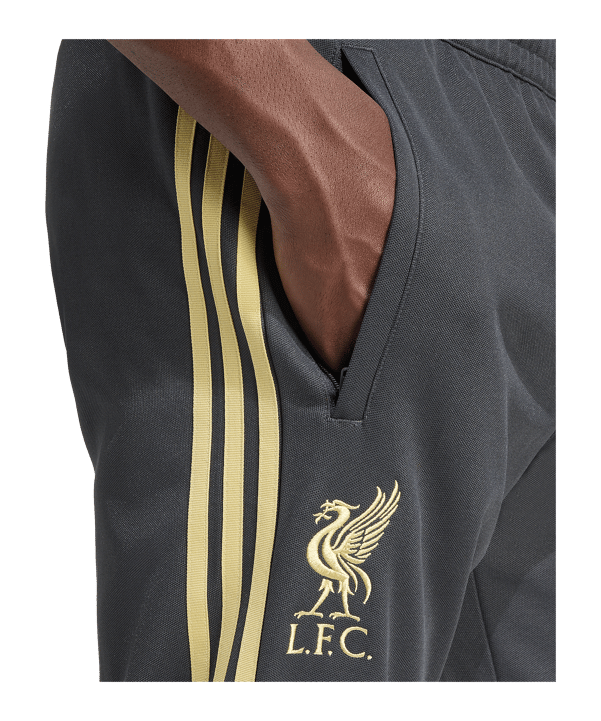 adidas FC Liverpool Lfstlr Track Hose Grau - grau