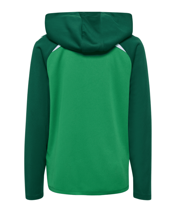 Hummel Lead 2.0 Kapuzenjacke Kids Grün F6327 - gruen