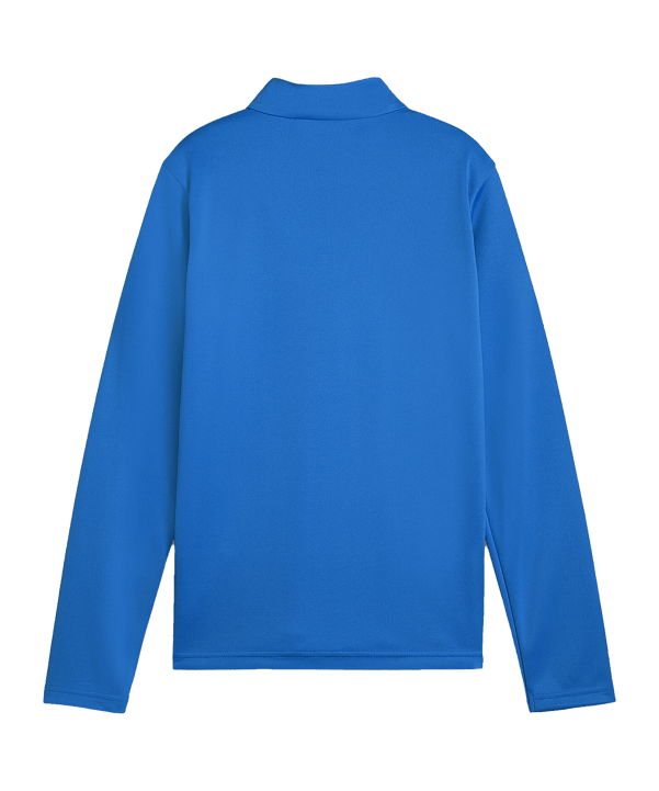 PUMA teamGOAL Training 1/4 Zip Sweatshirt Kids F02 - blau