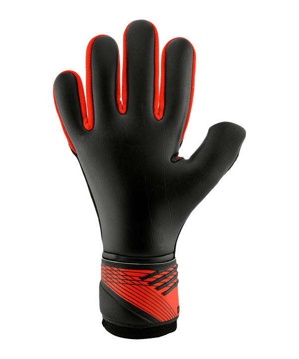KEEPERsport Champ Prime NC Dominance Torwarthandschuhe Schwarz - schwarz