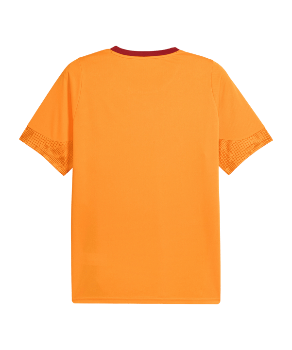 PUMA Galatasaray Istanbul Trainingsshirt Orange F006 - orange