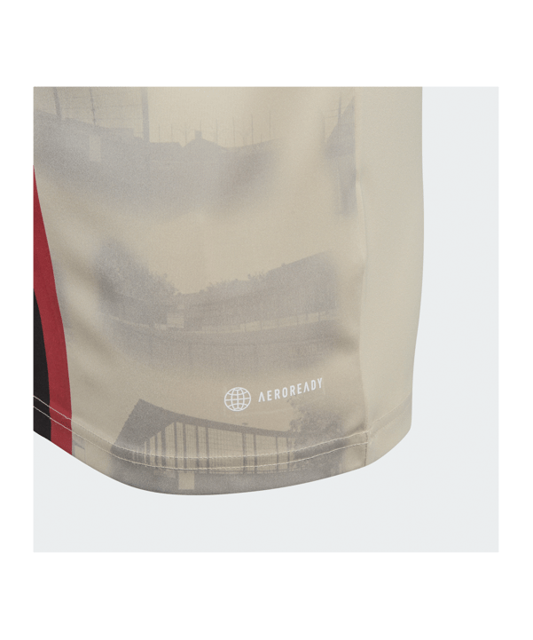 adidas Ajax Amsterdam Trikot UCL 2022/2023 Beige - beige