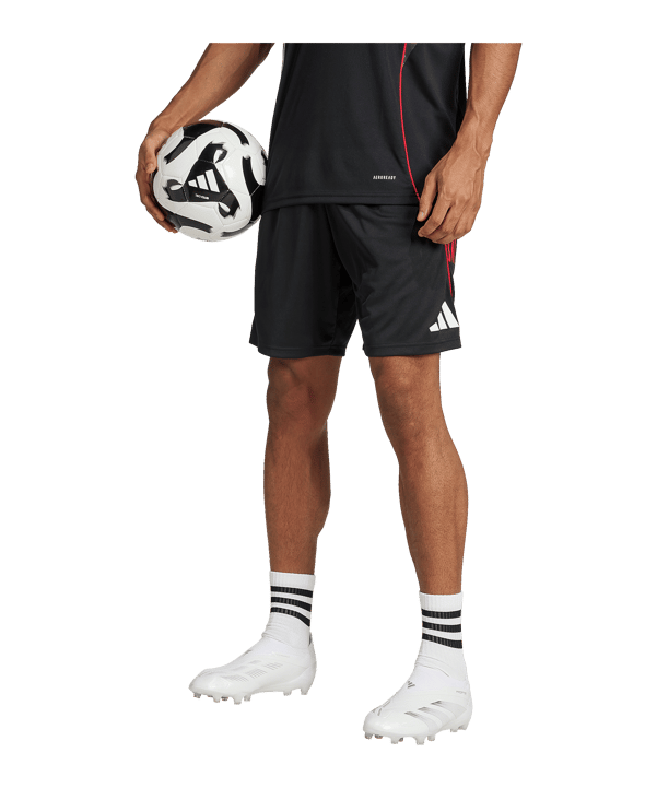 adidas Ajax Amsterdam Training Short Schwarz - schwarz