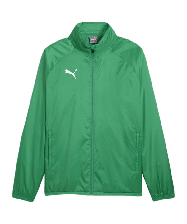 PUMA teamGOAL Allwetterjacke Grün Weiss F05 - gruen