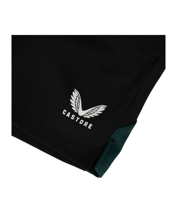 Castore Feyenoord Rotterdam Short Schwarz - schwarz