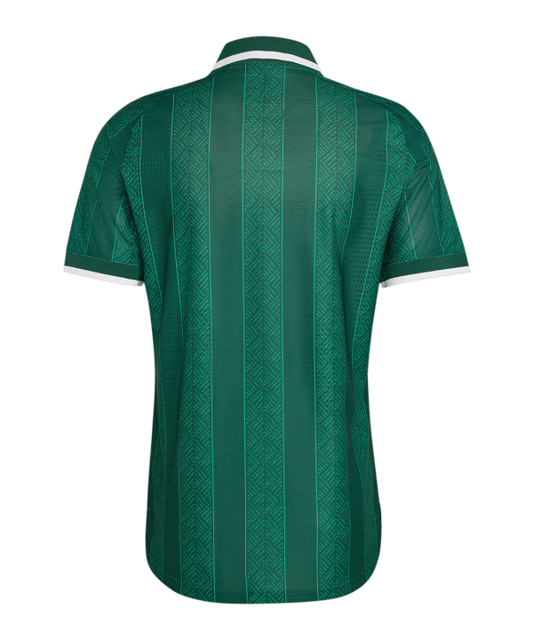 adidas Südafrika Authentic Trikot Away 2026 Grün - gruen