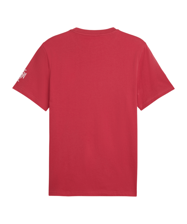 PUMA FPF Portugal FtblCulture T-Shirt Rot F27 - rot