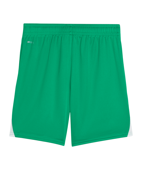 PUMA teamLIGA26 Short Kids Grün F05 - gruen