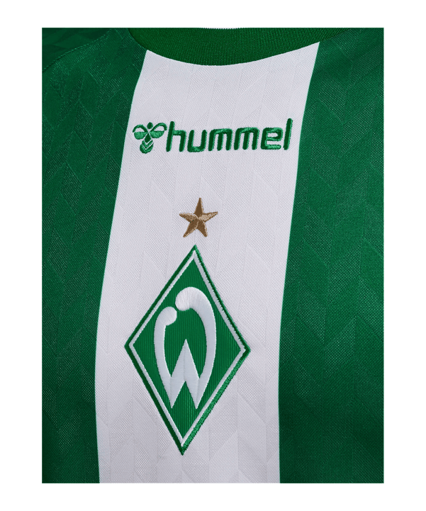 hummel SV Werder Bremen Shirt Home 2026/2027 Groen K6839 - groen
